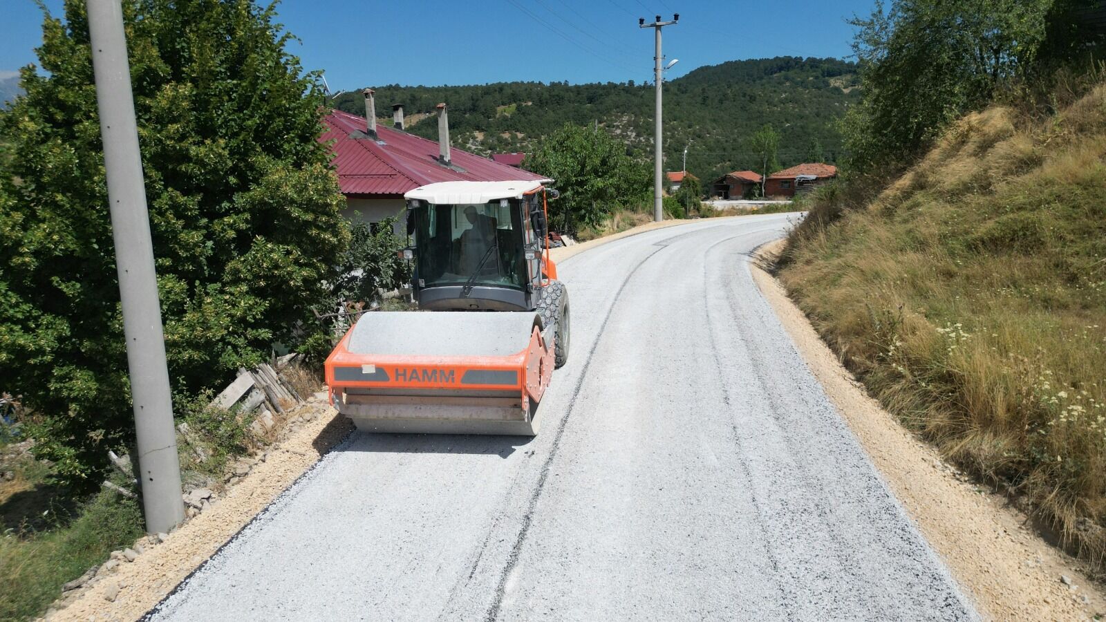 37555 M T Zh Nz Jm O D 1