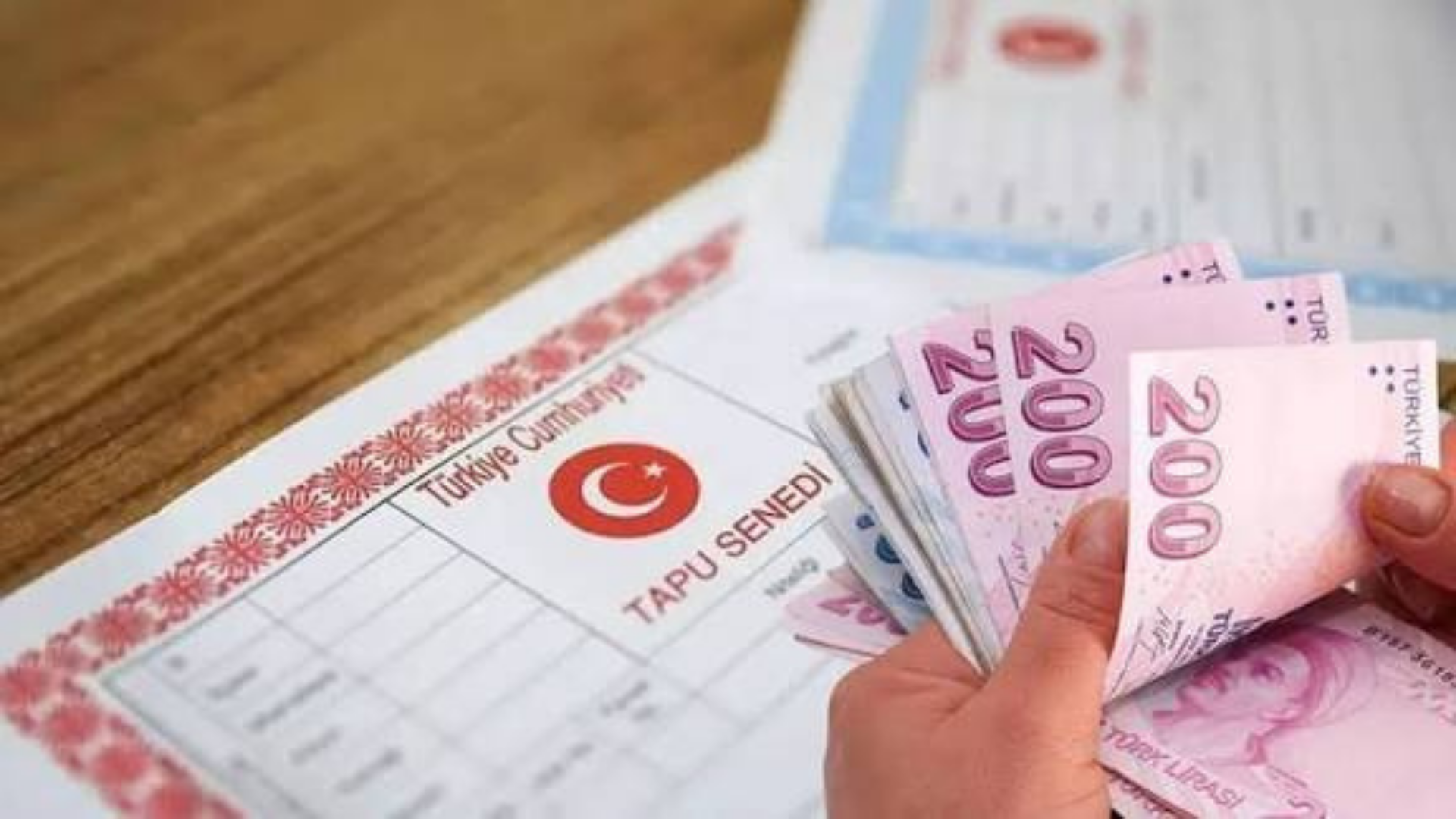 Bursa’da icradan milyonluk tarlalar ve zeytinlikler satışa çıktı! İlçe ilçe tüm fiyatlar