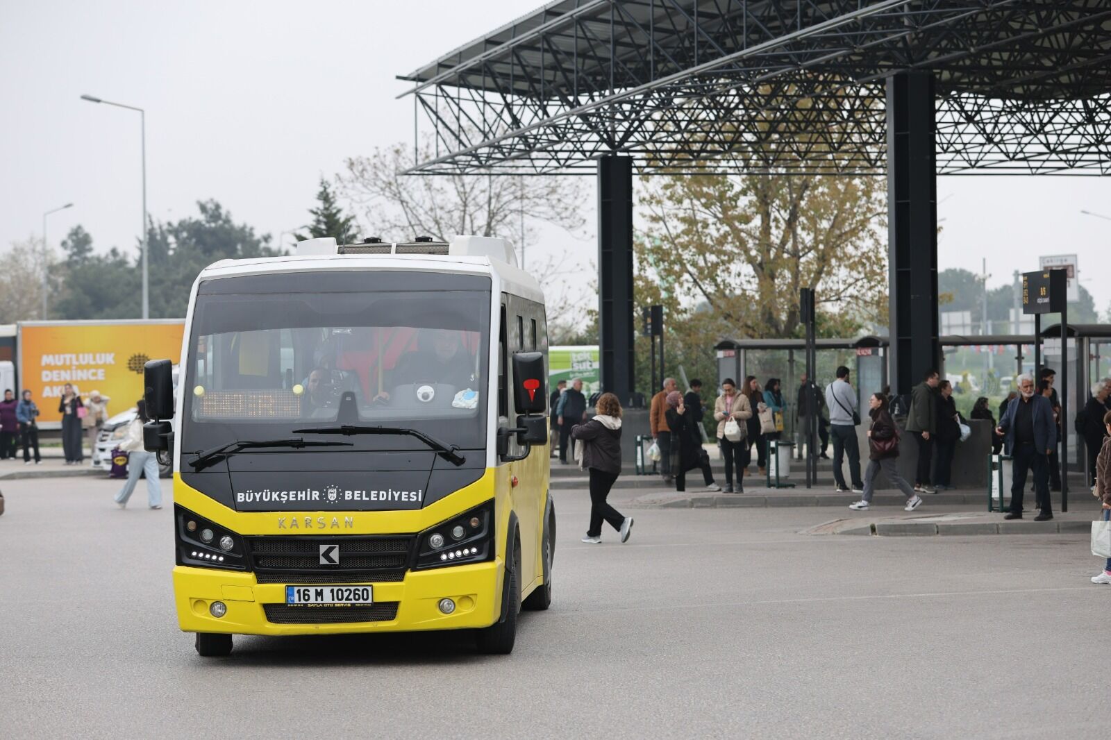 37701 M T Zh O Tk3 M2 3