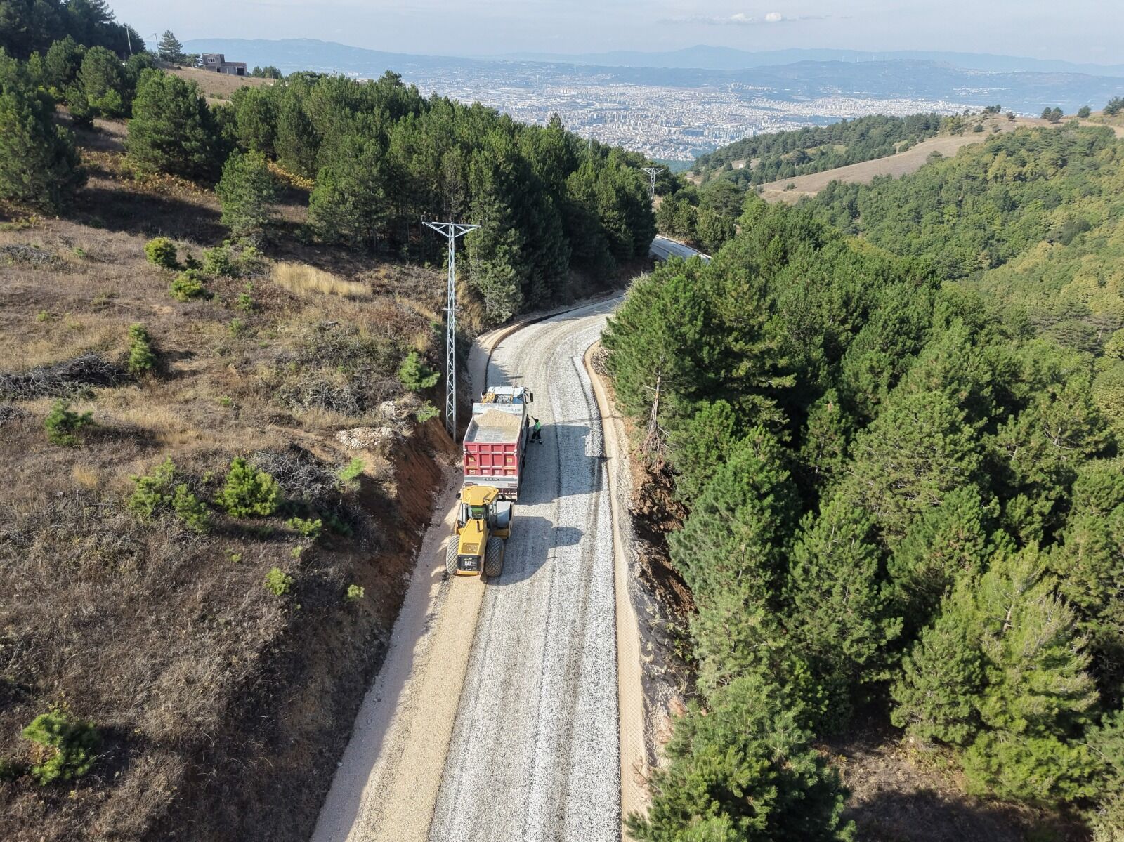 37792 M T Zh Yj Zl Z G 4
