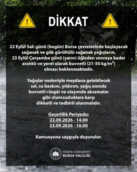 Ac289398 Bfff 4859 8246 D8Be44668Be0 (1)
