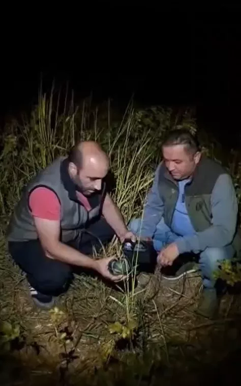 Bildircin Avlamak Icin Tupun Icine Ses D 1531392 455672 6Abd0A1Ec45Fa