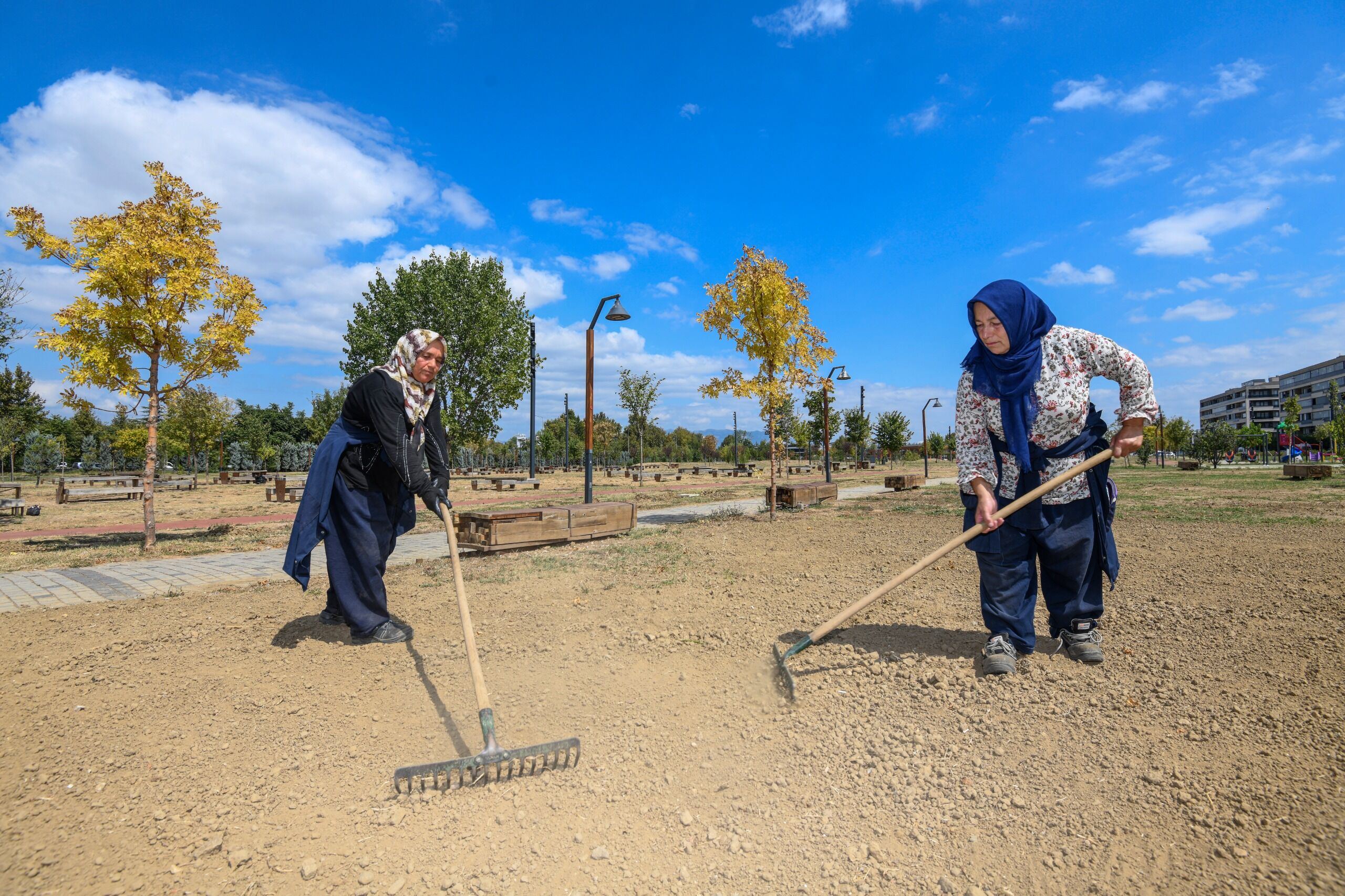 Çimleme Çalışması (2)