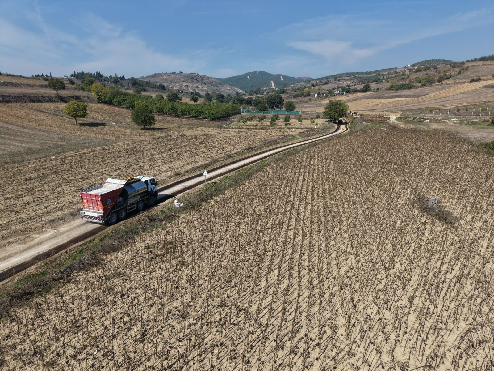 37864 M T Zh Y2 Rj N W 1