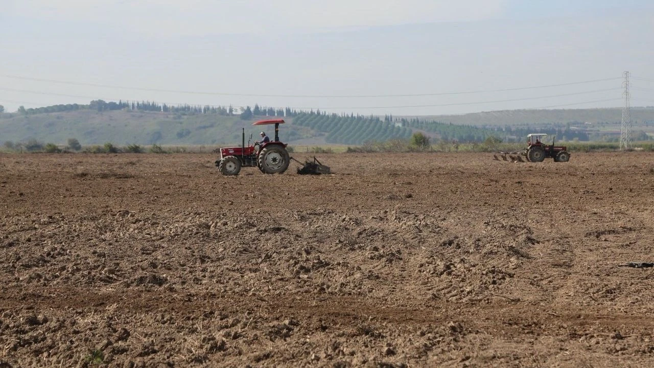 A W817823 04
