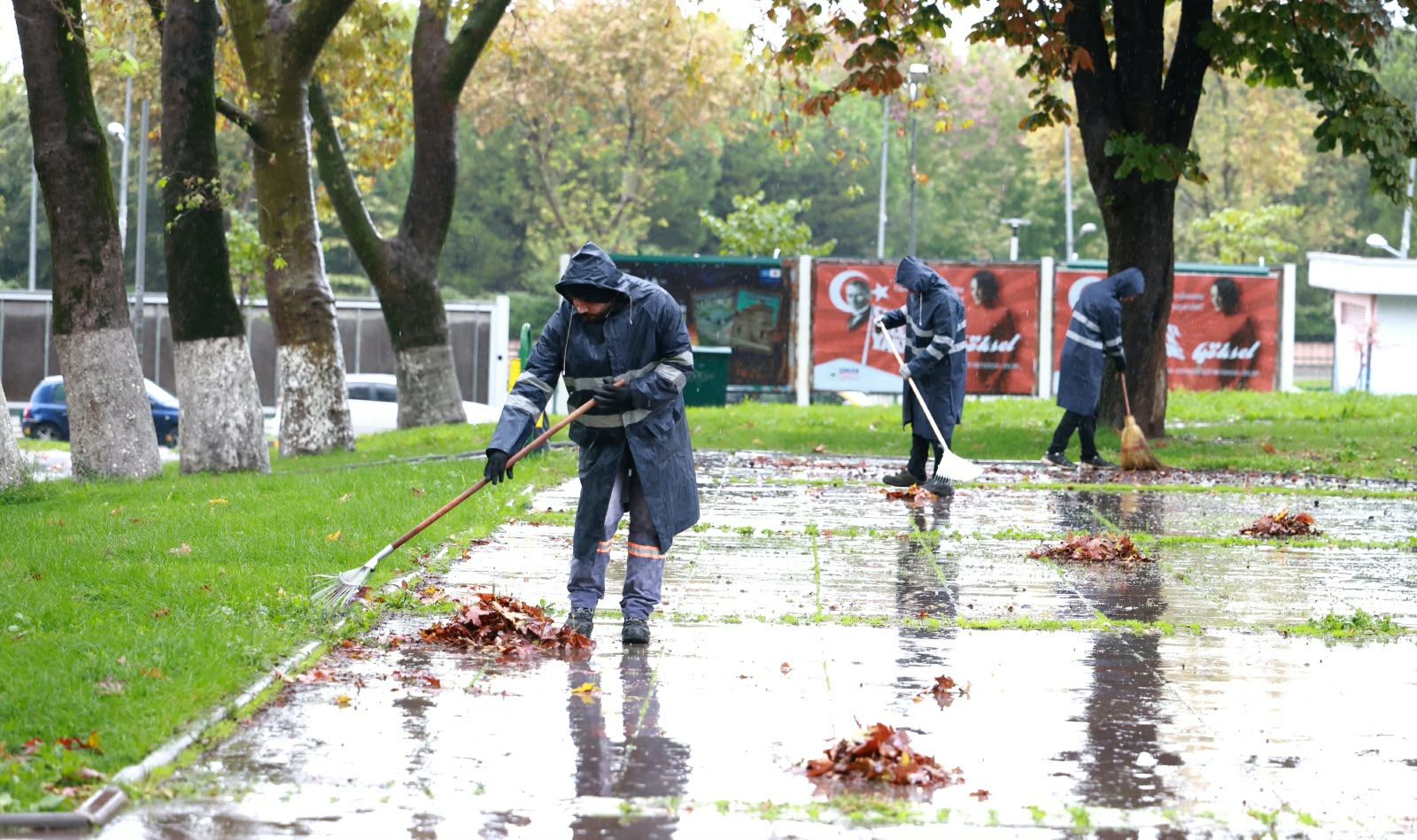 Sonbahar Yaprak Temizliği (1)
