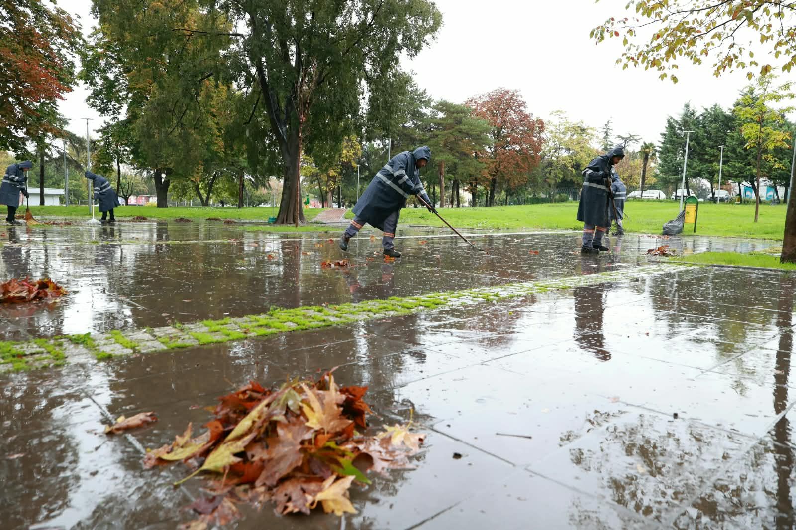 Sonbahar Yaprak Temizliği (15)