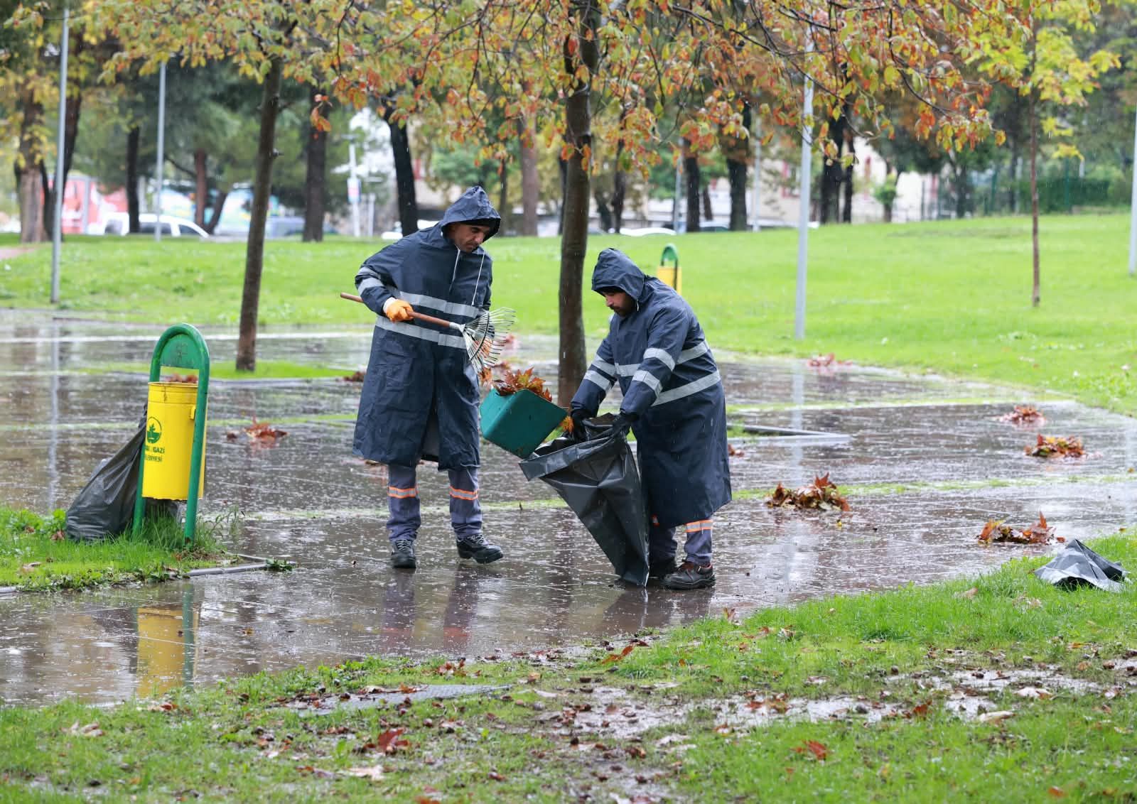 Sonbahar Yaprak Temizliği (4)