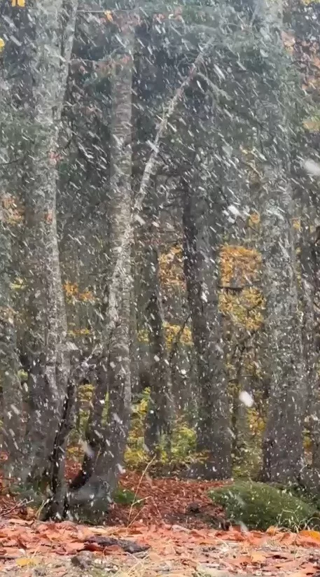 Uludag Da Kar Yagisi 1559675 464147 6Ad344494265B
