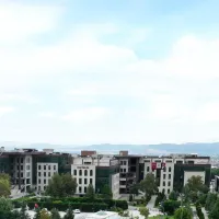 Bursa