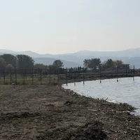 Bursa