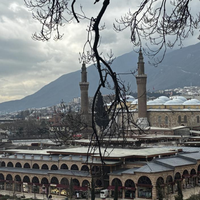 Bursa