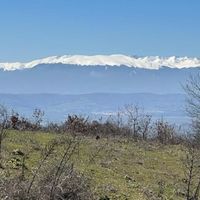 Bursa