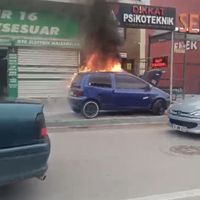 Bursa