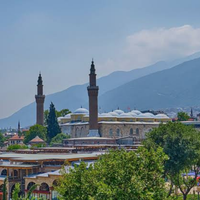 Bursa