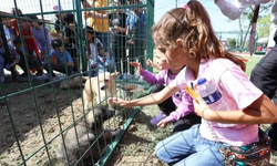 İnegöl'de hayvanları koruma gününde renkli kutlama