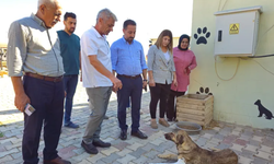 Kızıltepe'de tedavi gören sokak hayvanlarına ziyaret