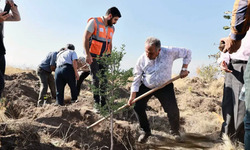 “Diktiginiz fidanlar dünyaya iyilik olarak yansıyacak”