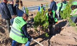 Sivas'ta mevsimlik işçiler adına hatıra ormanı