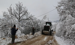 Artvin'de kar köylere ulaşımı kesti