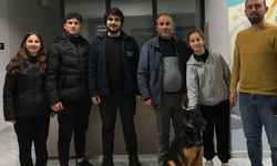 Kocaeli'de 275 cana yuva bulundu