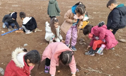 Diyarbakırlı çocuklar meşe tohumlarını toprakla buluşturdu