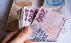 Bakan Göktaş: Destek ödemeleri hesaplarda