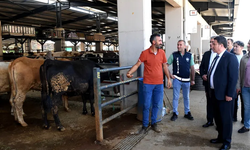 Osmangazi’de Kurban Pazarı Yoğunluğu