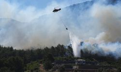 İzmir, Manisa ve Bilecik'teki yangınlar tamamen kontrol altında