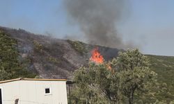 Bursa'da çıkan orman yangınına havadan ve karadan müdahale ediliyor