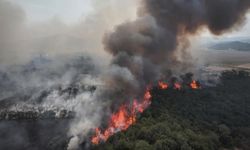 Çanakkale'de alevlerle mücadele devam ediyor