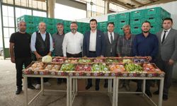 YENİŞEHİR'İN TARIM ÜRÜNLERİ LİBYA YOLUNDA