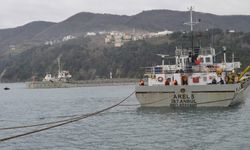 Liman devleti denetiminin uygulanmasına ilişkin esaslar belirlendi