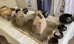 6 bin yıllık boğa başlı sunak bulundu