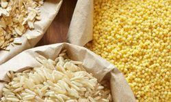 Güneydoğu'da hububat sektörü 2,3 milyar dolarlık ihracat gerçekleştirdi