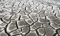 Türkiye'de 'su yılı' kurak geçti