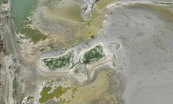 Tekirdağ'da göletler kurudu