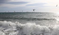 Marmara kıyılarında 1,6 milyon kişi iklim kaynaklı risklerle karşı karşıya