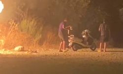 Muğla'da ormanı ateşe verdiler