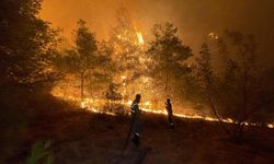 Antalya ve Muğla'da orman yangınlarıyla mücadele sürüyor