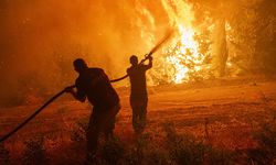 Yangında hayatını kaybeden orman gönüllülerine 'şehit' statüsü