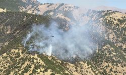 Hakkari'de ormanlık alanda yangın