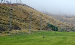 Palandöken Kayak Merkezi, bitkilendirme çalışmalarıyla yeşilleniyor