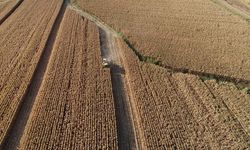 Tarım ve hayvancılıkta öncelikli yatırımlar için yol haritası çizildi