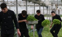 Üniversitelerden tarım teknolojilerine tam destek