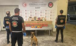 Sarp Sınır Kapısı ve İstanbul'da 601 kilogram uyuşturucu ele geçirildi