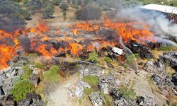 Manisa'da palet fabrikasında yangın