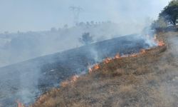 Tokat'ta makilik alanda yangın