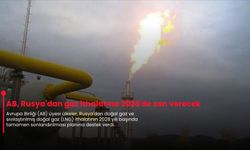 AB, Rusya'dan gaz ithalatına 2028'de son verecek