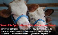 Denizli'de "şap" alarmı: 17 mahalle karantinada